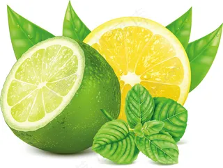 柠檬叶子背景矢量素材