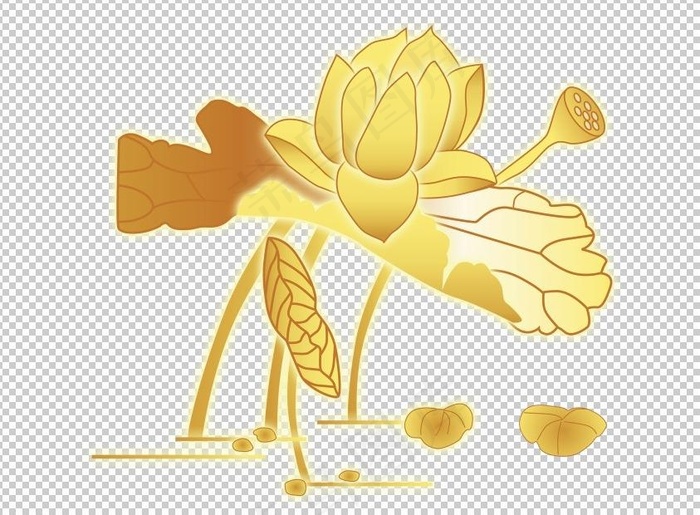 金色荷花cdr线描图图片