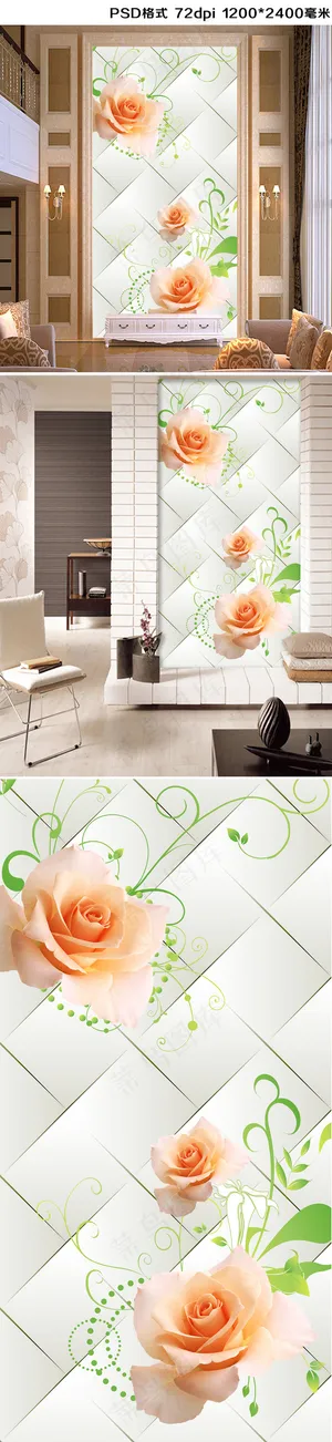 玫瑰花朵3D玄关图