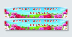 牡丹花芍药花展图片