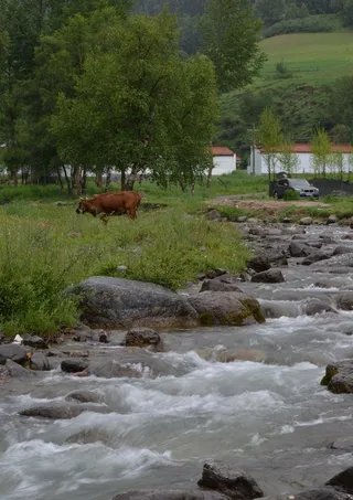 门源仙米森林公园图片