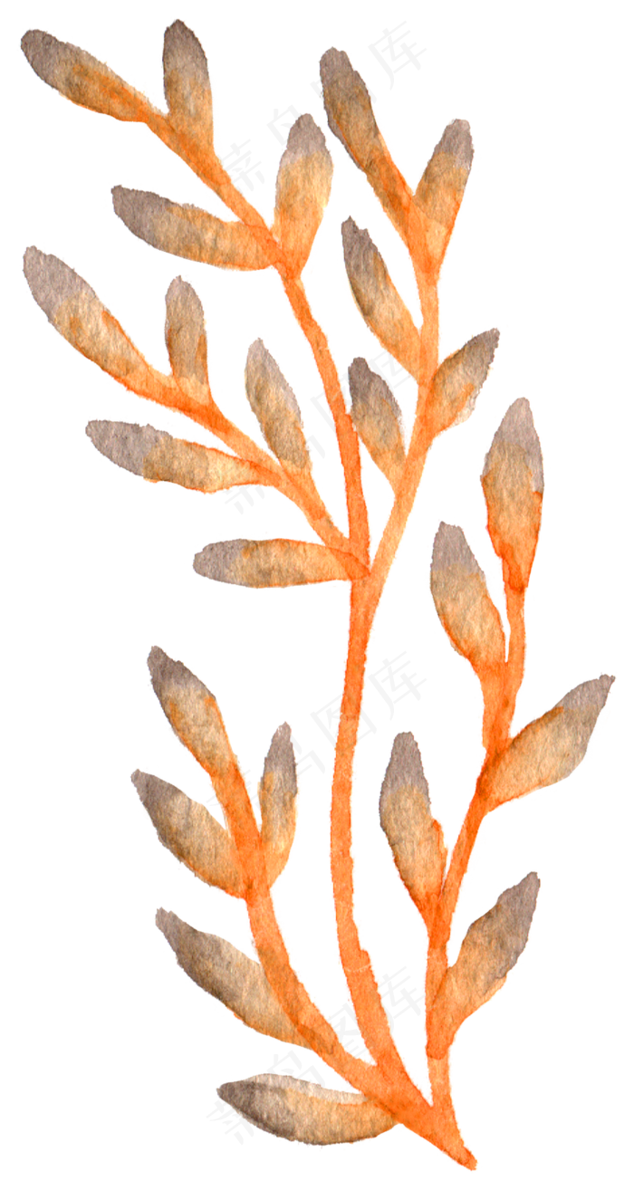 手绘简约橙色水草水彩透明素材