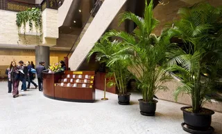 上海博物馆图片