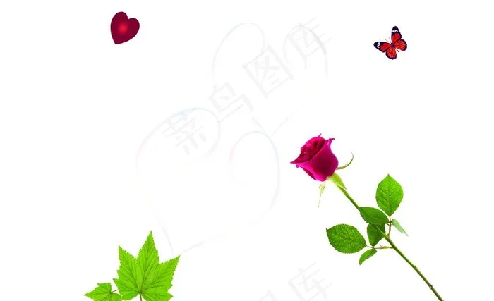 玫瑰花 蝴蝶图片psd模版下载