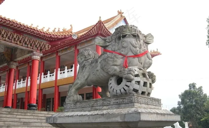 石狮图片