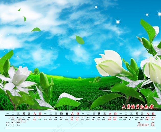花主题2010年台历模板6月版