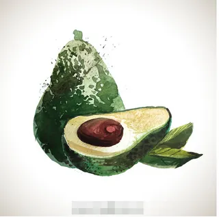 水彩牛油果矢量素材
