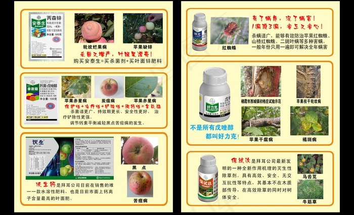拜耳图片psd模版下载