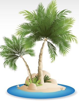 夏季热带海岛旅游背景矢量05