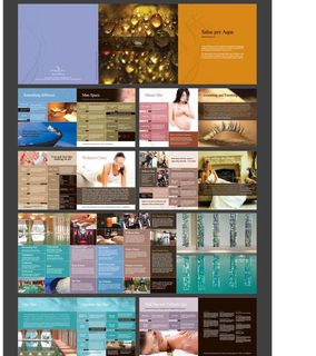 养生 足浴 spa图片