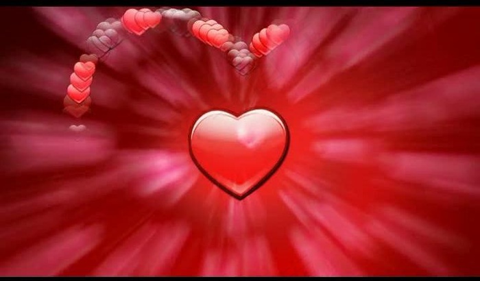 婚礼视频素材图片