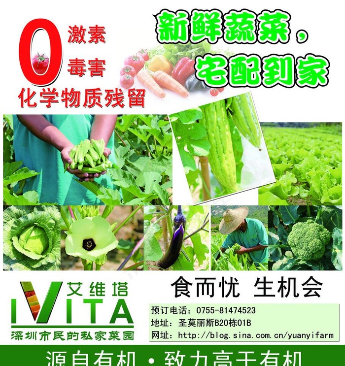 蔬菜海报图片