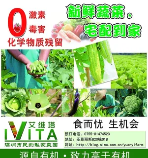 蔬菜海报图片