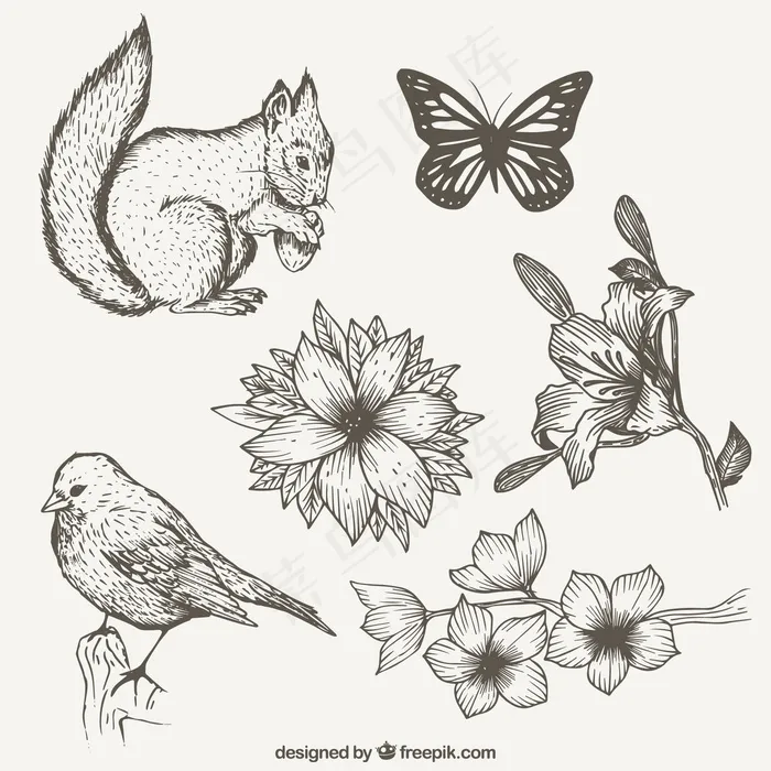 花鸟矢量图