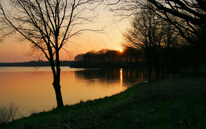 3D高清黄昏夕阳湖边的树木美景背景...