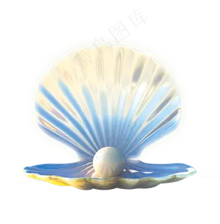 海滩上海螺海星贝壳设计素材