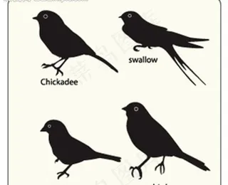 鸟类剪影图片