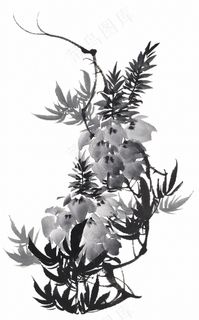 水墨植物花