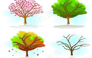 四季树木图片