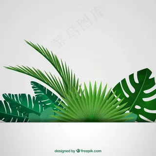 绿色背景矢量图