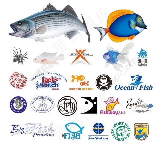 各式各样矢量鱼fish ai图片ai矢量模版下载