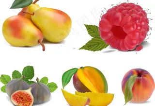 水果矢量素材图片