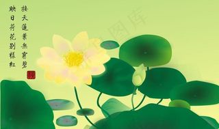矢量荷花荷叶图片