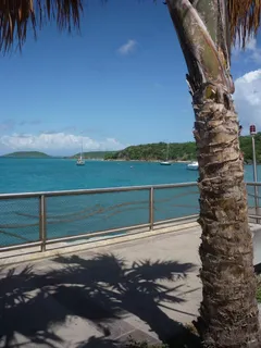 夏威夷海滩棕榈树图片 夏威夷海滩棕榈树图片