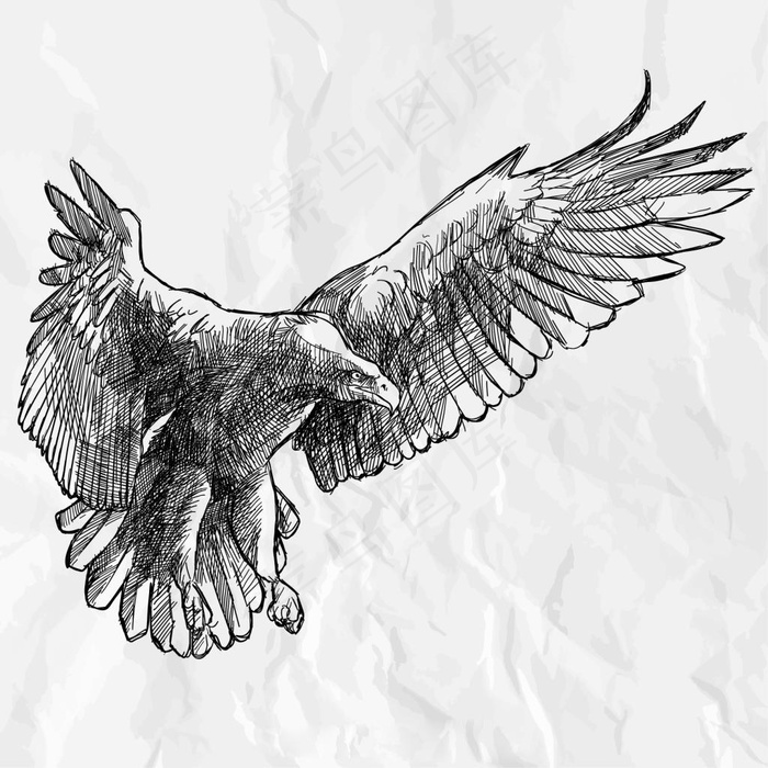 老鹰剪影手绘素材素描