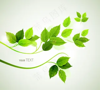 绿色枝叶背景矢量