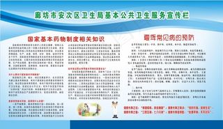 廊坊市安次区卫生局基本公共卫生服务...