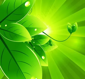 绿叶水珠水滴生态环保背景图片 绿叶水珠水滴生态环保背景图片