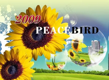 太平鸟橱窗图片