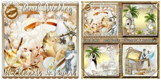 欧美剪贴素材(沙滩婚礼)