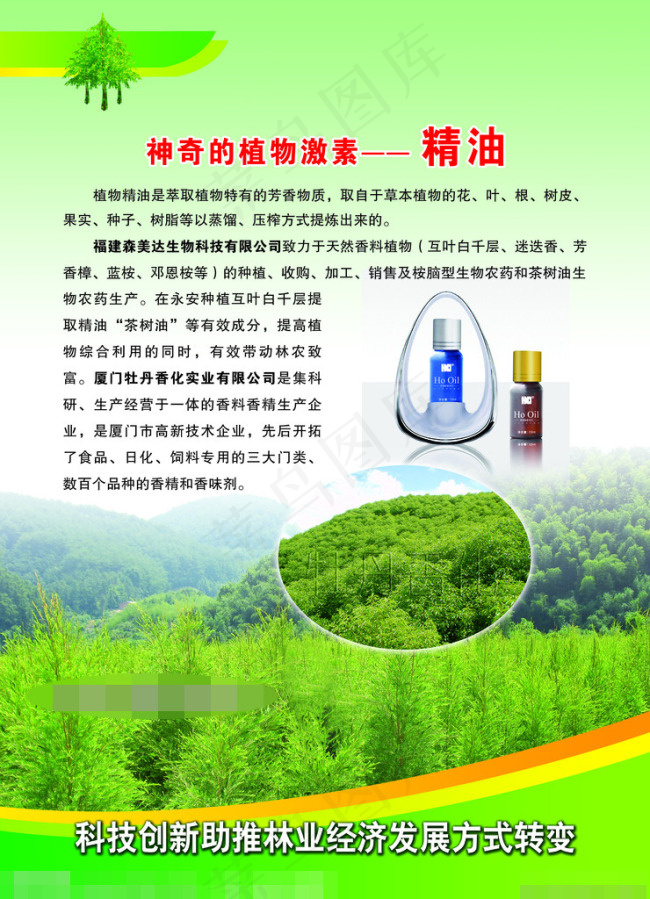 植物精油模板下载(2948X4082(DPI:72))psd模版下载