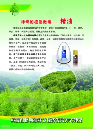 植物精油模板下载