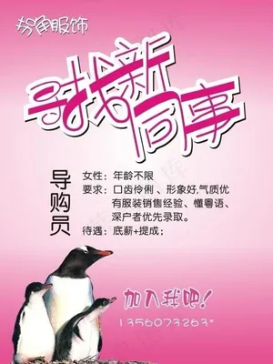 导购招聘图片