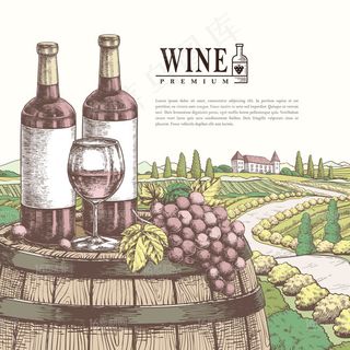 精美手绘葡萄酒元素矢量
