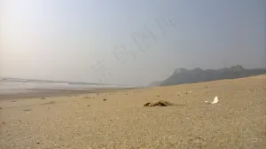 沙滩图片