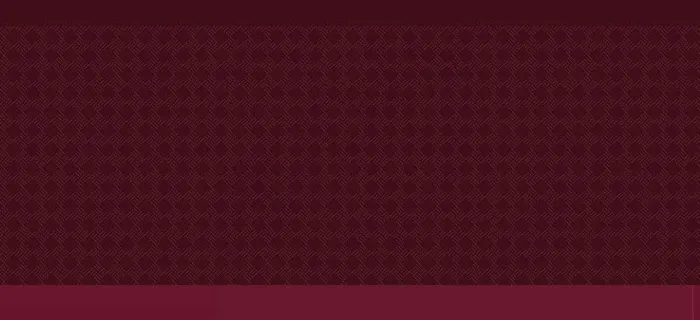 暗粉色时尚产品公司网页模板