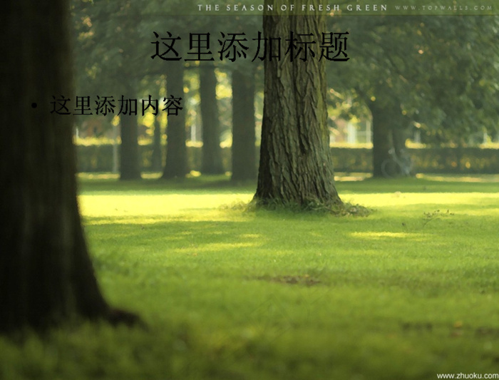 春天美景
