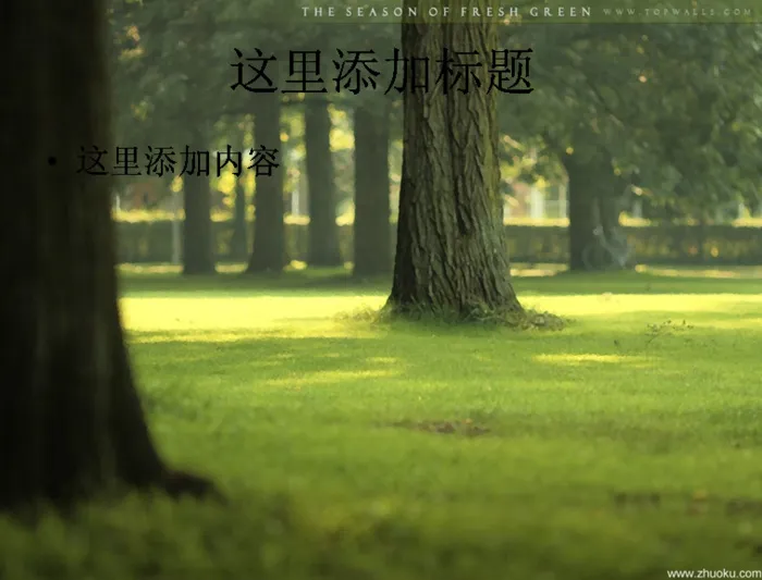 春天美景