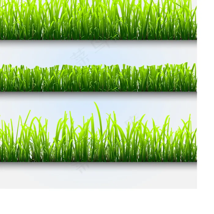 02矢量植物eps,ai矢量模版下载