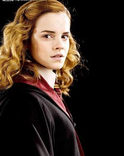 哈利·波特与混血王子 定...