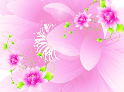 粉色背景 粉色背景