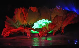 梦幻太极之鲜花盛开图片