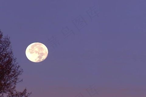 月亮视频素材模板下载