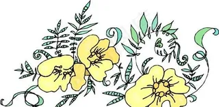 花朵 花草 鲜花 矢量 EPS格式...