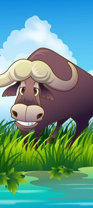 可爱动物绿色草丛水牛图片