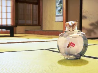 高清PSD分层素材猫视眈眈